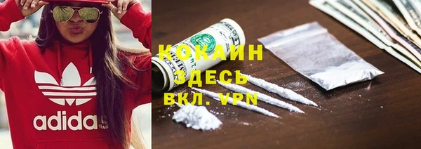 молекула духа Надым