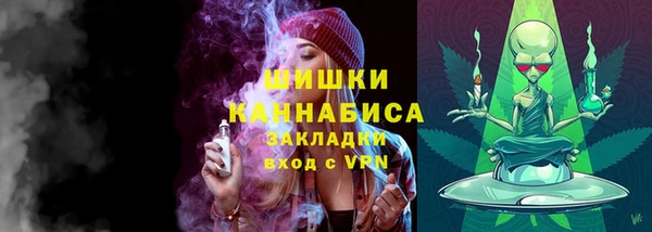 молекула духа Надым