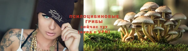 a pvp Наволоки