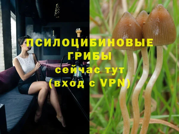 a pvp Наволоки