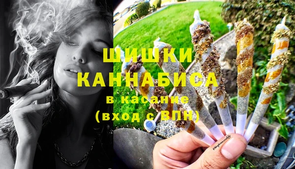 молекула духа Надым