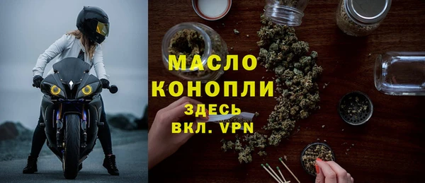 молекула духа Надым