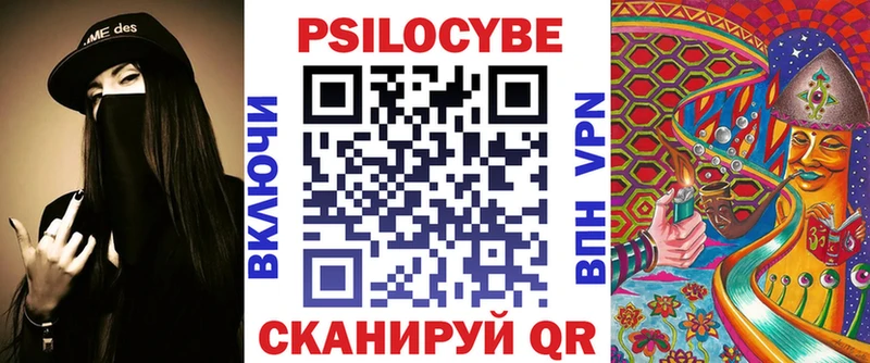 наркота  Чухлома  Псилоцибиновые грибы Psilocybe 